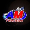 AM Television